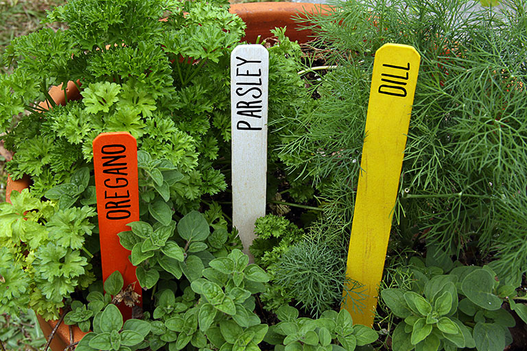 Wood Garden Stakes & Markers