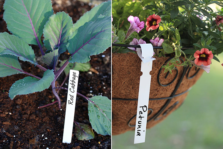Plastic Plant Markers & Tags